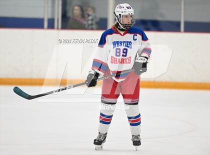 Thumbnail 3 in North Haven/Amity/Cheshire @ West Haven/SHA photogallery.