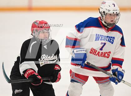 Thumbnail 2 in North Haven/Amity/Cheshire @ West Haven/SHA photogallery.