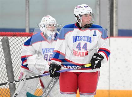 Thumbnail 2 in North Haven/Amity/Cheshire @ West Haven/SHA photogallery.