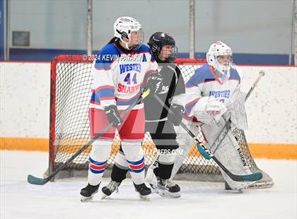 Thumbnail 3 in North Haven/Amity/Cheshire @ West Haven/SHA photogallery.