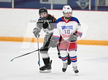 Thumbnail 2 in North Haven/Amity/Cheshire @ West Haven/SHA photogallery.