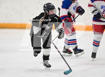 Thumbnail 1 in North Haven/Amity/Cheshire @ West Haven/SHA photogallery.