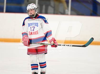 Thumbnail 3 in North Haven/Amity/Cheshire @ West Haven/SHA photogallery.