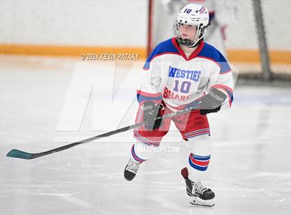 Thumbnail 1 in North Haven/Amity/Cheshire @ West Haven/SHA photogallery.