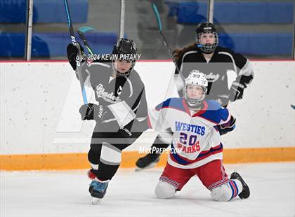Thumbnail 3 in North Haven/Amity/Cheshire @ West Haven/SHA photogallery.