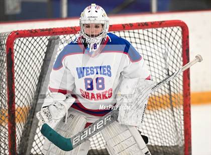 Thumbnail 3 in North Haven/Amity/Cheshire @ West Haven/SHA photogallery.