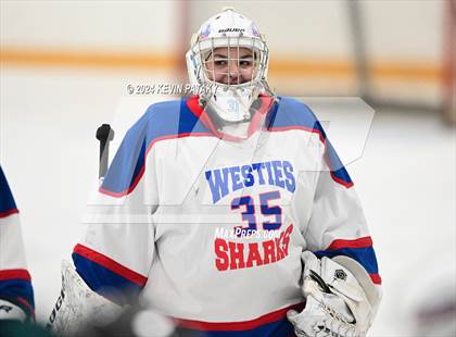 Thumbnail 1 in North Haven/Amity/Cheshire @ West Haven/SHA photogallery.