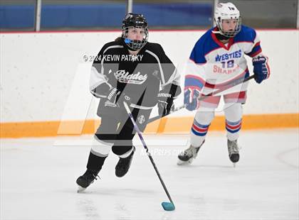 Thumbnail 3 in North Haven/Amity/Cheshire @ West Haven/SHA photogallery.