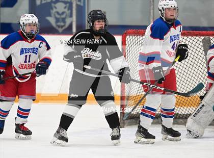 Thumbnail 3 in North Haven/Amity/Cheshire @ West Haven/SHA photogallery.