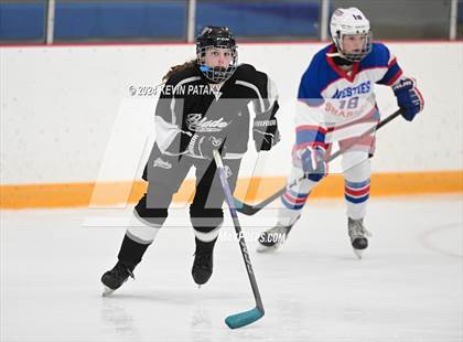 Thumbnail 1 in North Haven/Amity/Cheshire @ West Haven/SHA photogallery.