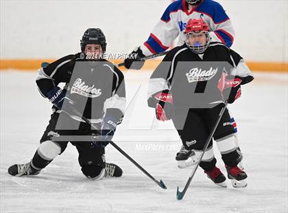 Thumbnail 1 in North Haven/Amity/Cheshire @ West Haven/SHA photogallery.