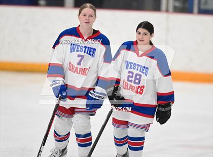 Thumbnail 3 in North Haven/Amity/Cheshire @ West Haven/SHA photogallery.