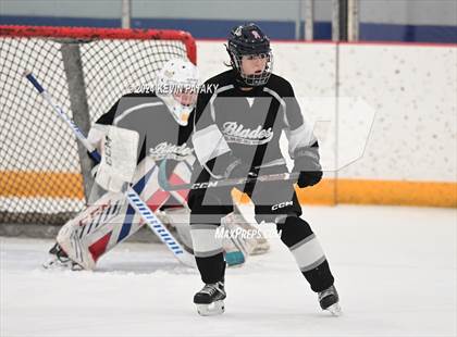Thumbnail 1 in North Haven/Amity/Cheshire @ West Haven/SHA photogallery.