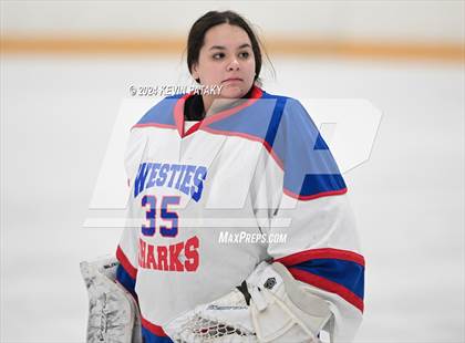 Thumbnail 2 in North Haven/Amity/Cheshire @ West Haven/SHA photogallery.