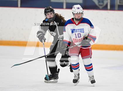 Thumbnail 3 in North Haven/Amity/Cheshire @ West Haven/SHA photogallery.
