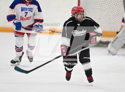 Thumbnail 3 in North Haven/Amity/Cheshire @ West Haven/SHA photogallery.