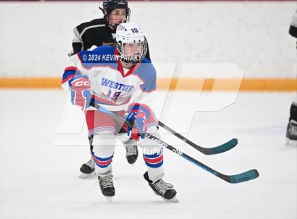 Thumbnail 2 in North Haven/Amity/Cheshire @ West Haven/SHA photogallery.