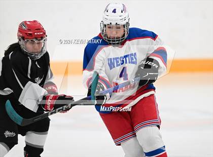 Thumbnail 1 in North Haven/Amity/Cheshire @ West Haven/SHA photogallery.