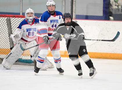 Thumbnail 3 in North Haven/Amity/Cheshire @ West Haven/SHA photogallery.