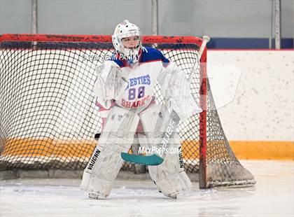 Thumbnail 1 in North Haven/Amity/Cheshire @ West Haven/SHA photogallery.