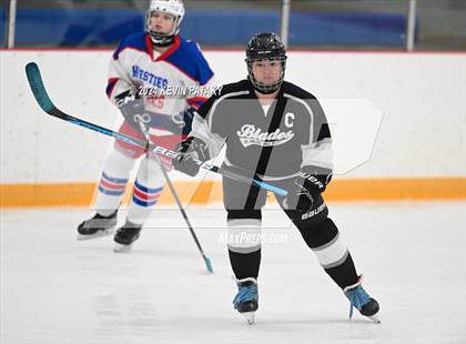 Thumbnail 3 in North Haven/Amity/Cheshire @ West Haven/SHA photogallery.