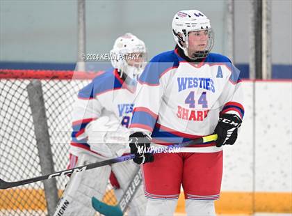 Thumbnail 1 in North Haven/Amity/Cheshire @ West Haven/SHA photogallery.