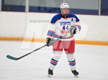 Thumbnail 3 in North Haven/Amity/Cheshire @ West Haven/SHA photogallery.