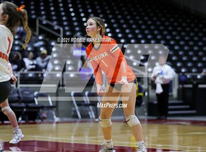 Thumbnail 3 in Celina vs. Decatur (UIL Volleyball 4A Finals) photogallery.