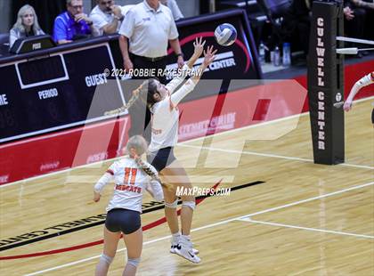 Thumbnail 2 in Celina vs. Decatur (UIL Volleyball 4A Finals) photogallery.