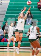 Photo from the gallery "Clear Creek @ Clear Falls"