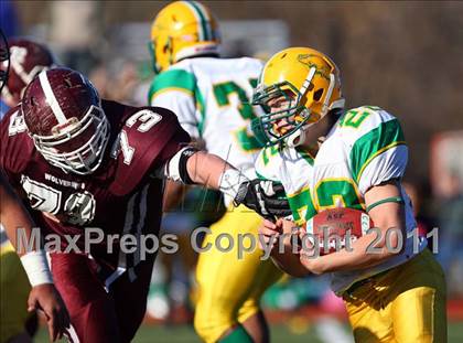 Thumbnail 1 in Clinton vs Leicester (MIAA Division 5 Central Final) photogallery.