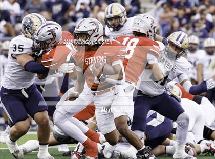 Thumbnail 3 in O'Connor @ Stevens photogallery.