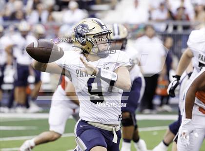 Thumbnail 3 in O'Connor @ Stevens photogallery.