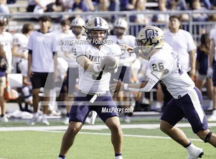 Thumbnail 3 in O'Connor @ Stevens photogallery.