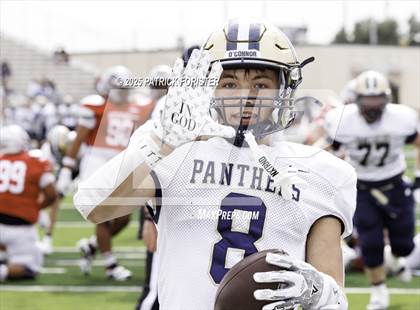 Thumbnail 3 in O'Connor @ Stevens photogallery.