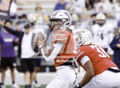 Thumbnail 1 in O'Connor @ Stevens photogallery.