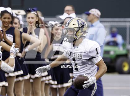 Thumbnail 2 in O'Connor @ Stevens photogallery.