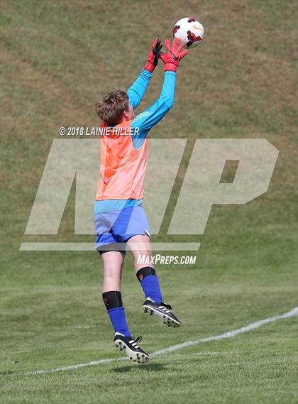 Thumbnail 3 in Bemidji vs Brainerd photogallery.