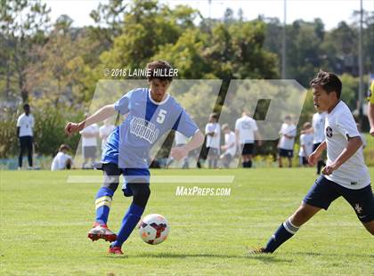 Thumbnail 2 in Bemidji vs Brainerd photogallery.