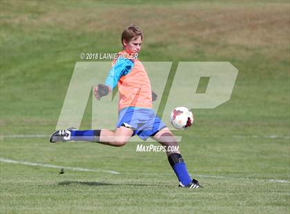 Thumbnail 3 in Bemidji vs Brainerd photogallery.