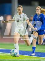 Photo from the gallery "Shadow Ridge @ Dobson"