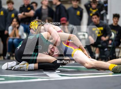 Thumbnail 3 in Rocky Mountain @ Fossil Ridge photogallery.
