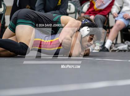Thumbnail 3 in Rocky Mountain @ Fossil Ridge photogallery.