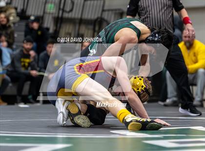 Thumbnail 2 in Rocky Mountain @ Fossil Ridge photogallery.
