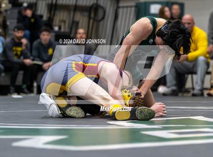 Thumbnail 3 in Rocky Mountain @ Fossil Ridge photogallery.
