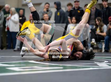 Thumbnail 3 in Rocky Mountain @ Fossil Ridge photogallery.