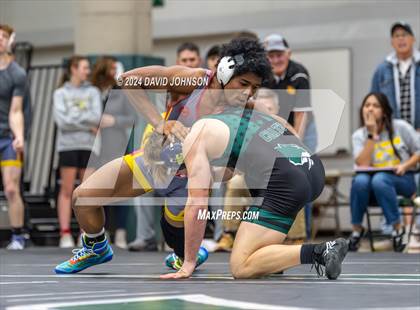 Thumbnail 2 in Rocky Mountain @ Fossil Ridge photogallery.