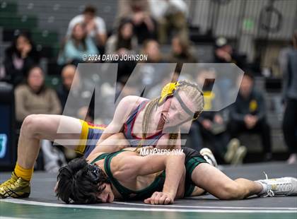Thumbnail 2 in Rocky Mountain @ Fossil Ridge photogallery.