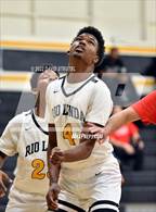 Photo from the gallery "Antelope @ Rio Linda"