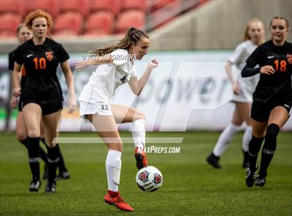 Thumbnail 1 in Ogden vs. Ridgeline (USHAA 4A Final) photogallery.